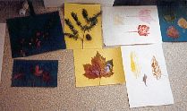 Des feuilles peintes !