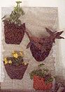 Des bouquets de feuilles...